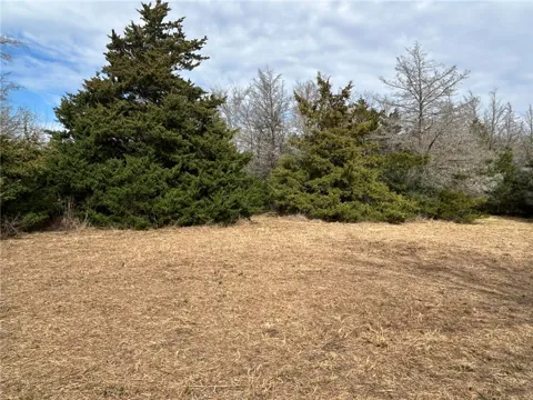 Deer Run CountyRoad