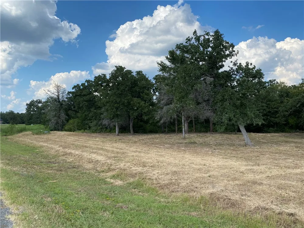 10144 Albert Drive Iola, TX 77861