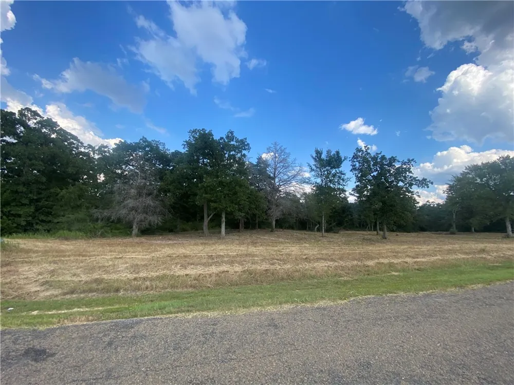 10144 Albert Drive Iola, TX 77861