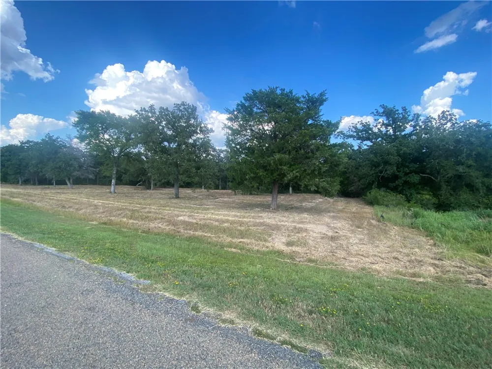 10144 Albert Drive Iola, TX 77861