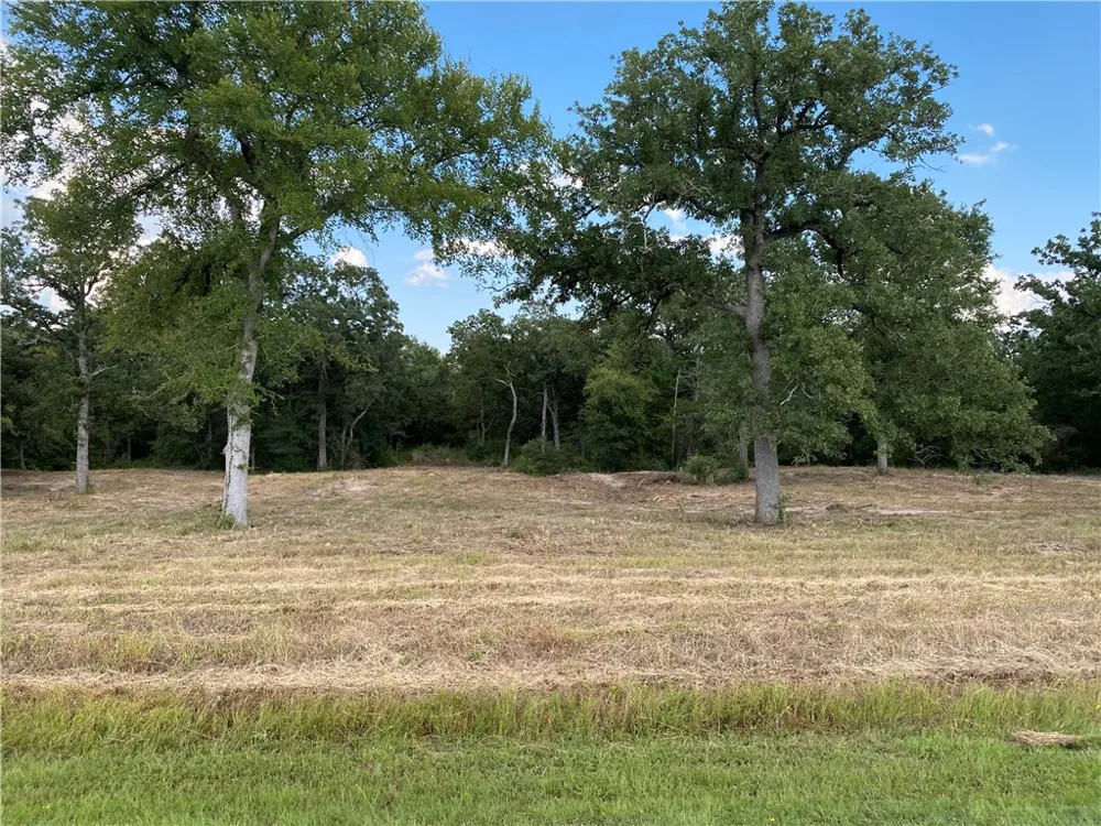 10144 Albert Drive Iola, TX 77861
