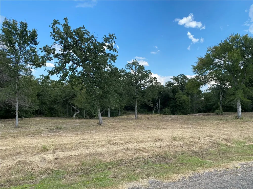 10144 Albert Drive Iola, TX 77861