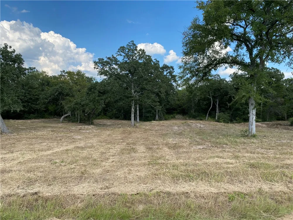 10144 Albert Drive Iola, TX 77861
