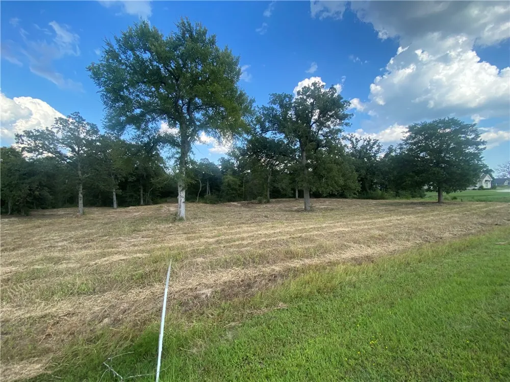 10144 Albert Drive Iola, TX 77861
