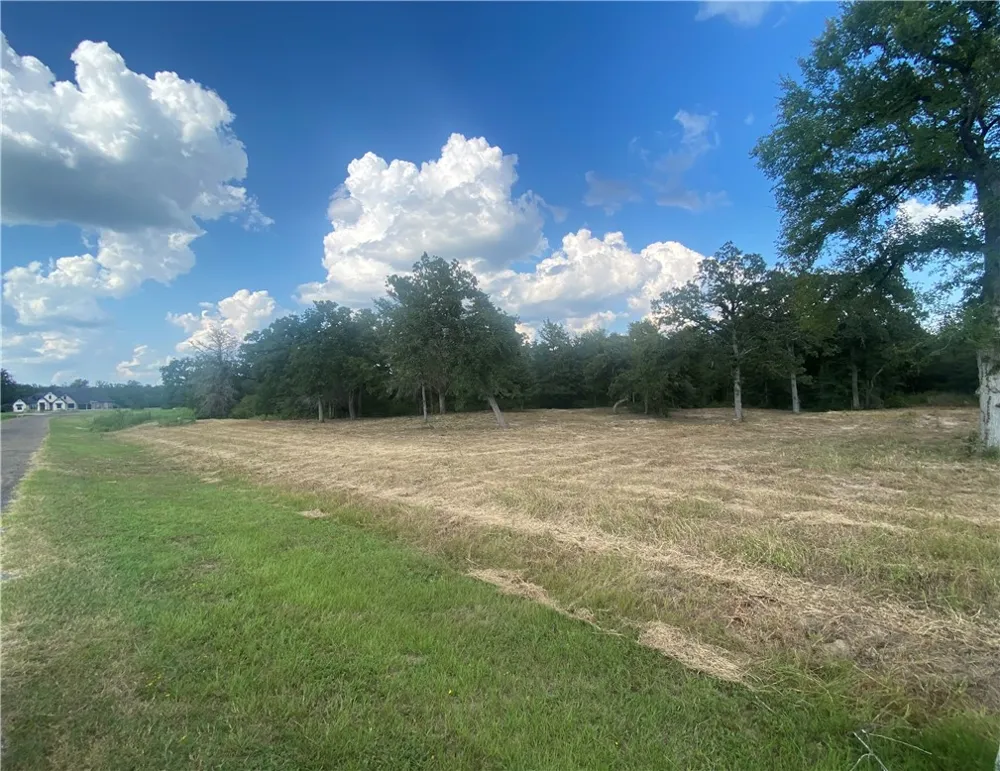 10144 Albert Drive Iola, TX 77861