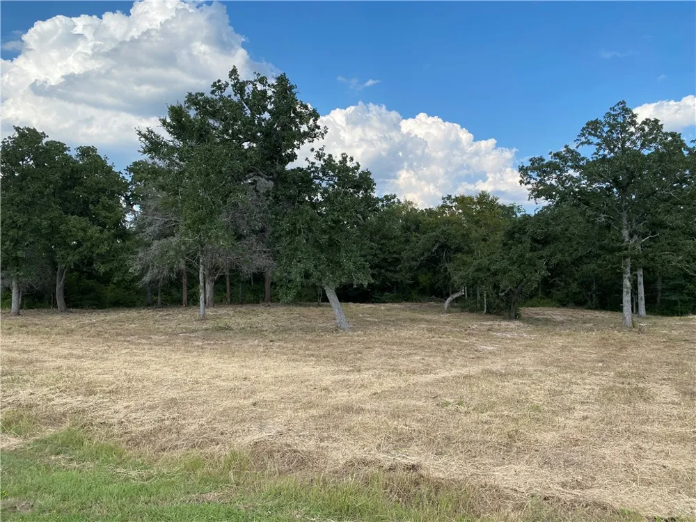 10144 Albert Drive Iola, TX 77861