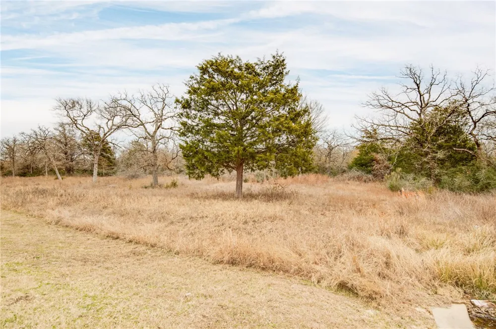 10144 Albert Drive Iola, TX 77861