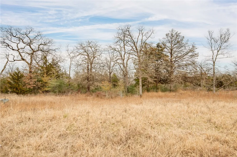 10144 Albert Drive Iola, TX 77861