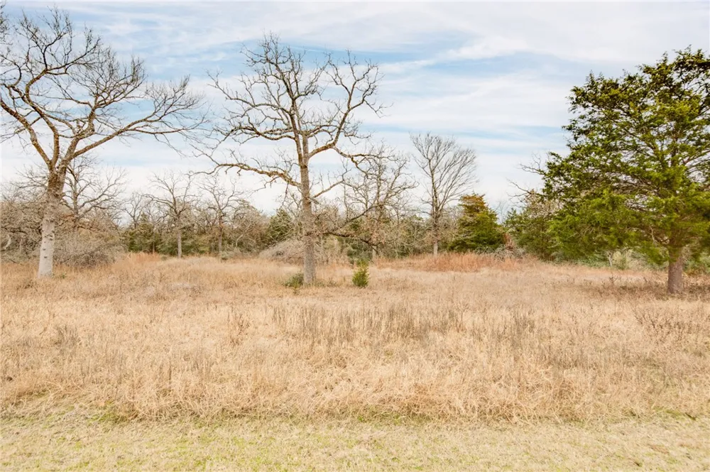 10144 Albert Drive Iola, TX 77861