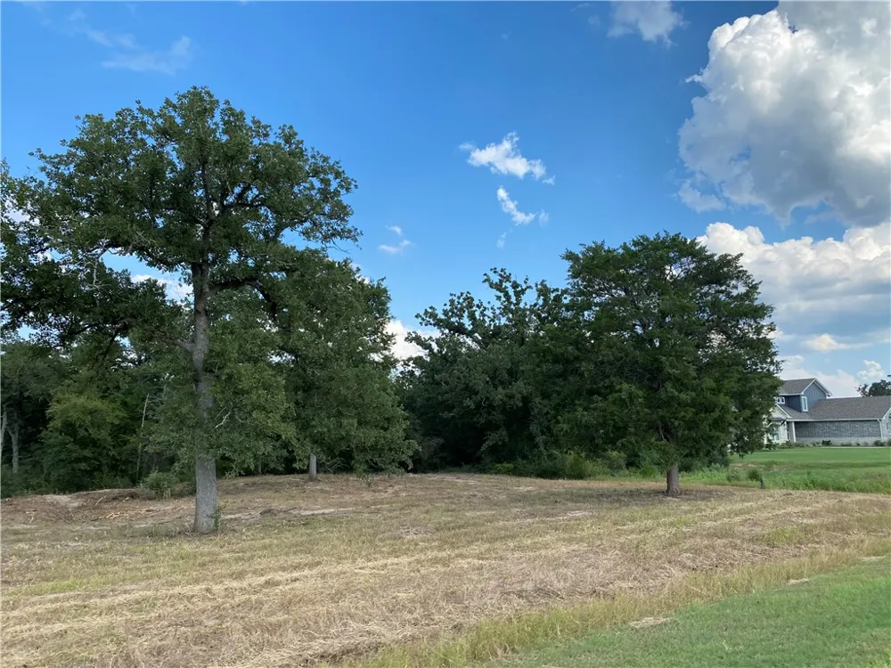 10144 Albert Drive Iola, TX 77861