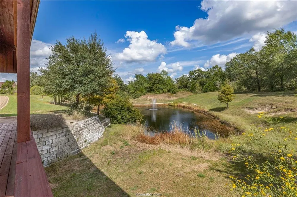 10144 Albert Drive Iola, TX 77861