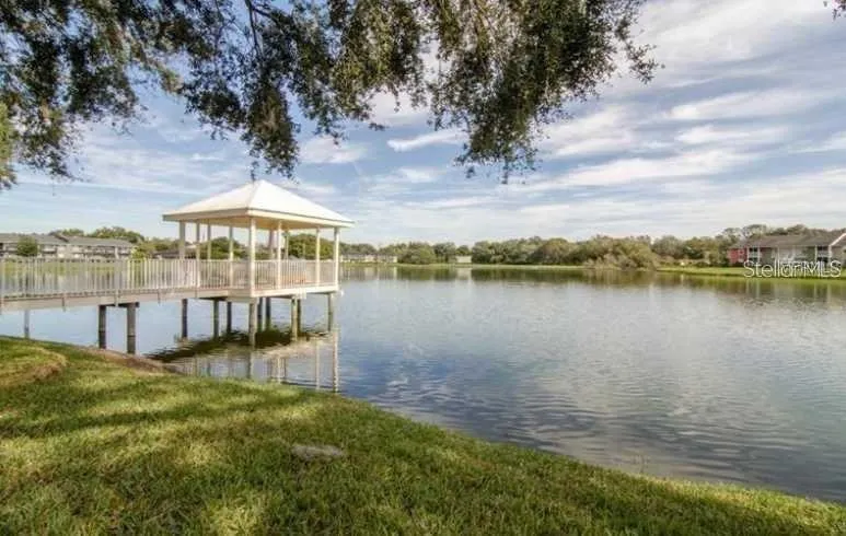 803 LAKE HAVEN SQUARE #202 Brandon, FL 33511