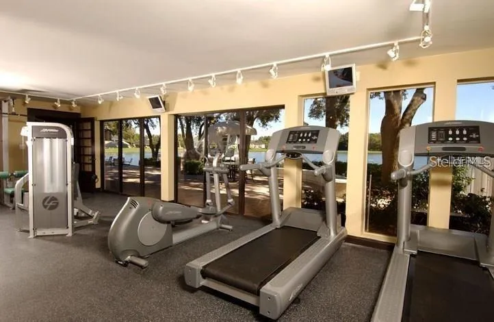 803 LAKE HAVEN SQUARE #202 Brandon, FL 33511