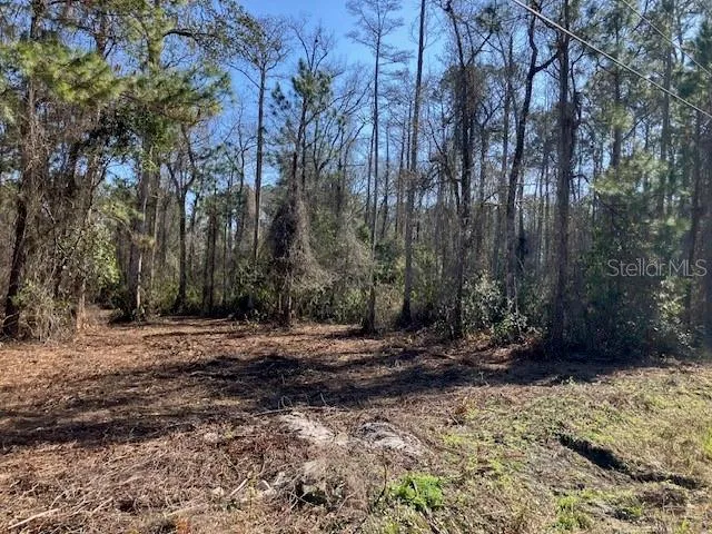 1881 HAZELNUT STREET Bunnell, FL 32110