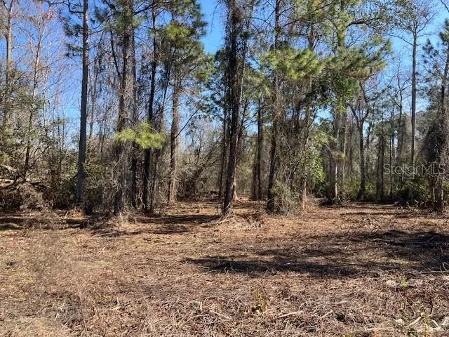 1881 HAZELNUT STREET Bunnell, FL 32110