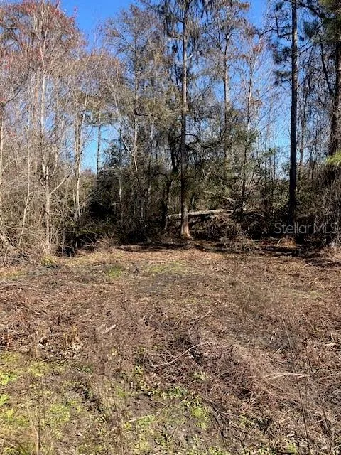1881 HAZELNUT STREET Bunnell, FL 32110