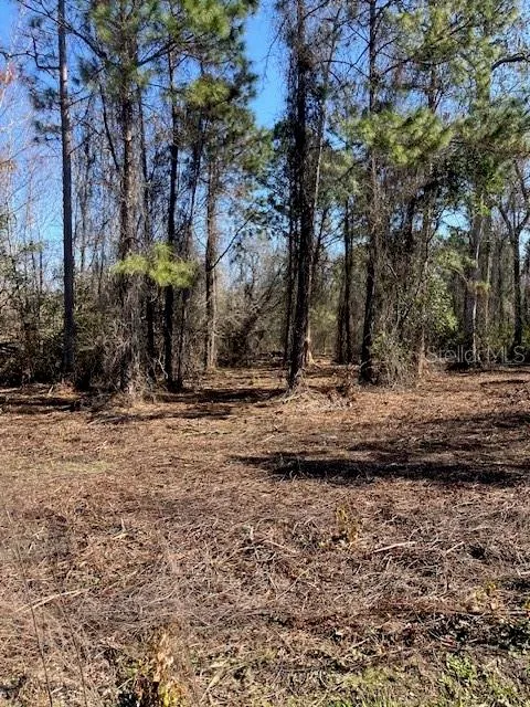 1881 HAZELNUT STREET Bunnell, FL 32110