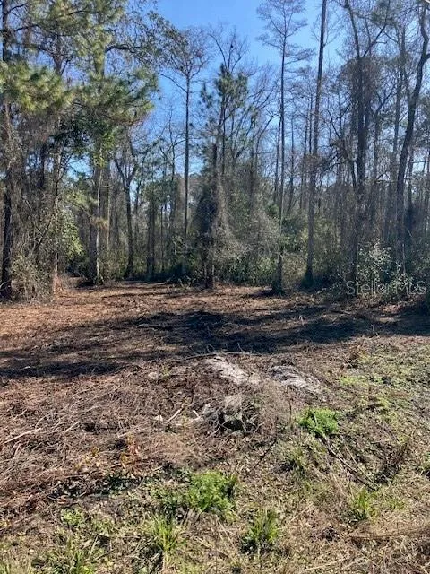 1881 HAZELNUT STREET Bunnell, FL 32110