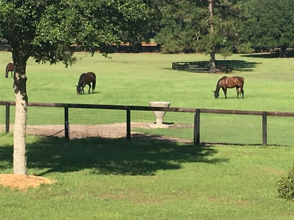 9549 NW 80TH AVENUE ocala, FL 34482