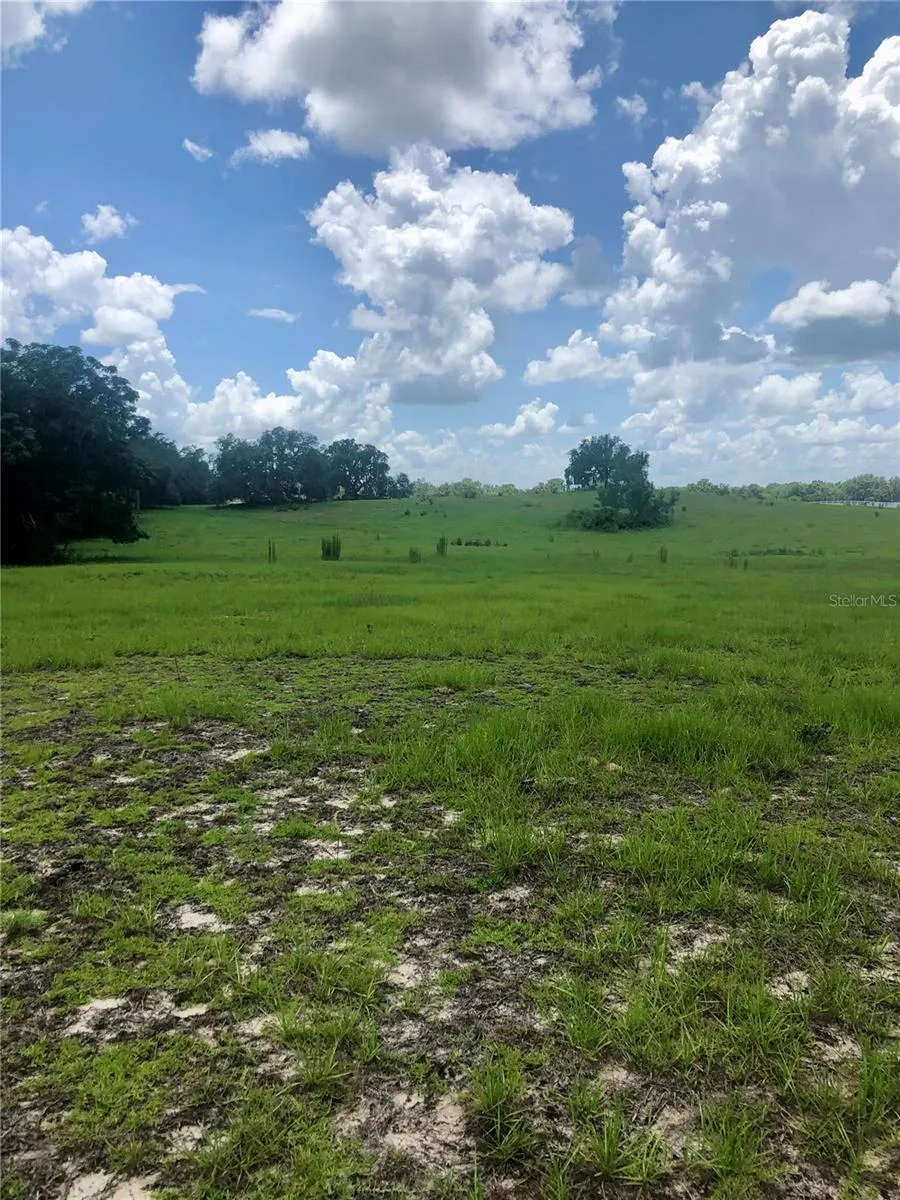 14 EAGLE RIDGE Bushnell, FL 33513