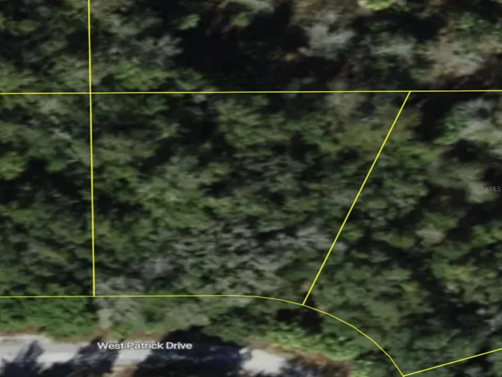 6891 W PATRICK DRIVE Homosassa, FL 34446