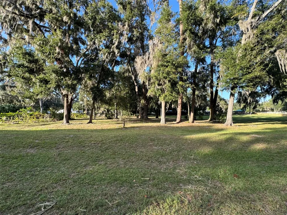0 W HIGHWAY 318 Citra, FL 32113