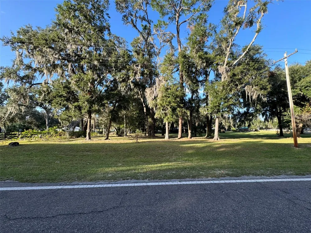 0 W HIGHWAY 318 Citra, FL 32113
