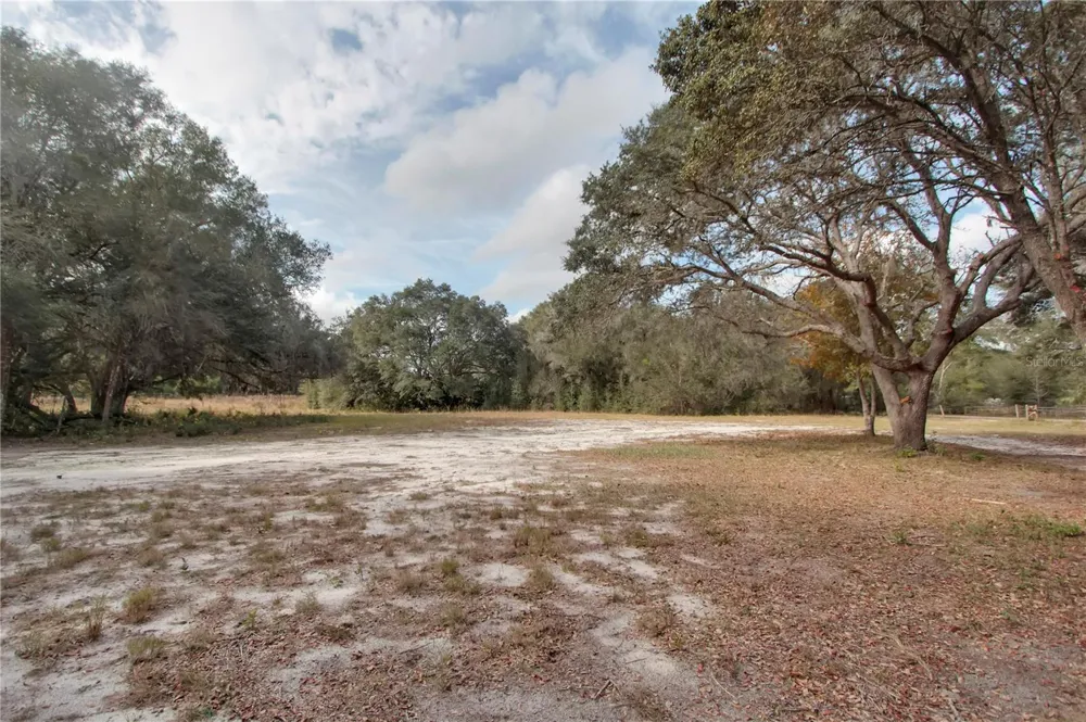 6892 SWAIN ROAD Sorrento, FL 32776