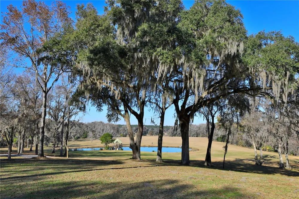 15551 NW HIGHWAY 225 Reddick, FL 32686