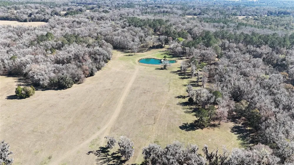 15551 NW HIGHWAY 225 Reddick, FL 32686