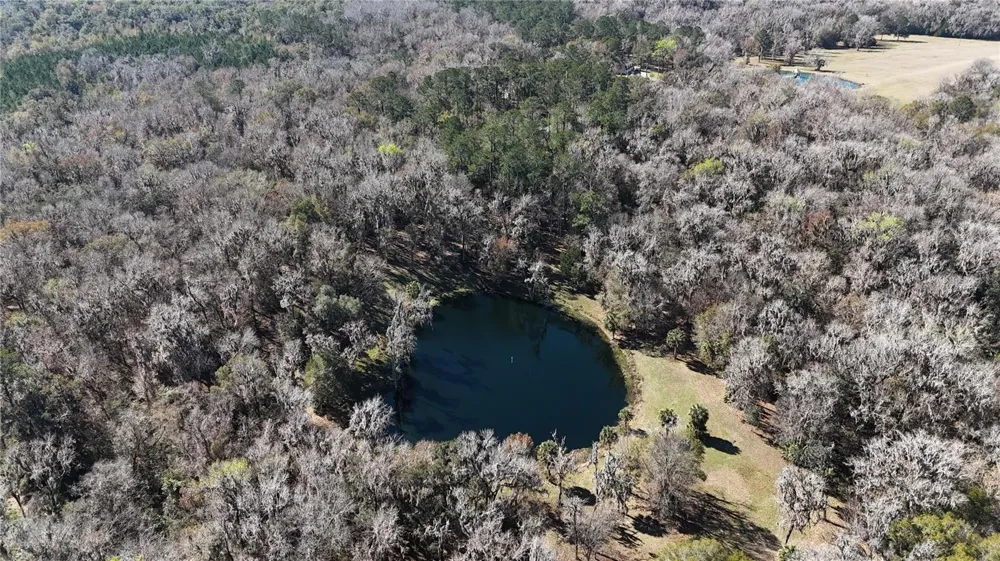 15551 NW HIGHWAY 225 Reddick, FL 32686