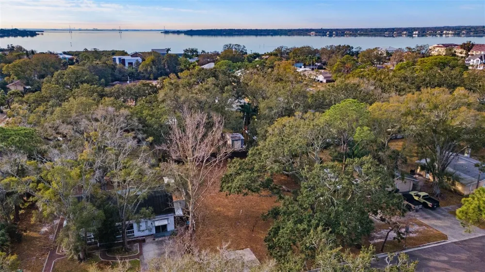 503 BUCKINGHAM AVENUE W Oldsmar, FL 34677
