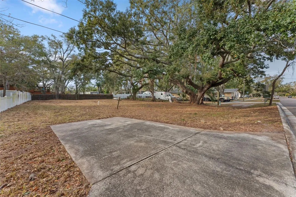 503 BUCKINGHAM AVENUE W Oldsmar, FL 34677