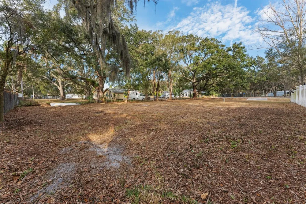 503 BUCKINGHAM AVENUE W Oldsmar, FL 34677