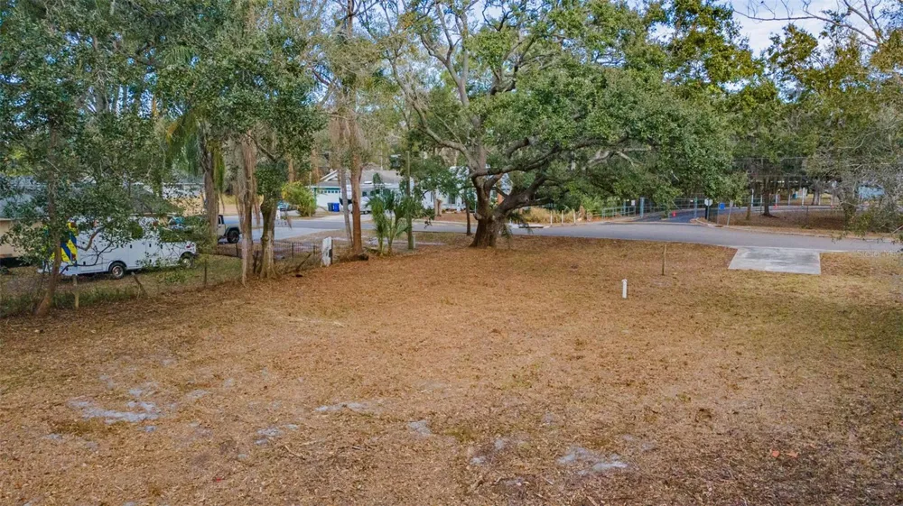 503 BUCKINGHAM AVENUE W Oldsmar, FL 34677
