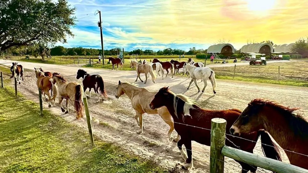 359 POSSUM PATH River Ranch, FL 33867