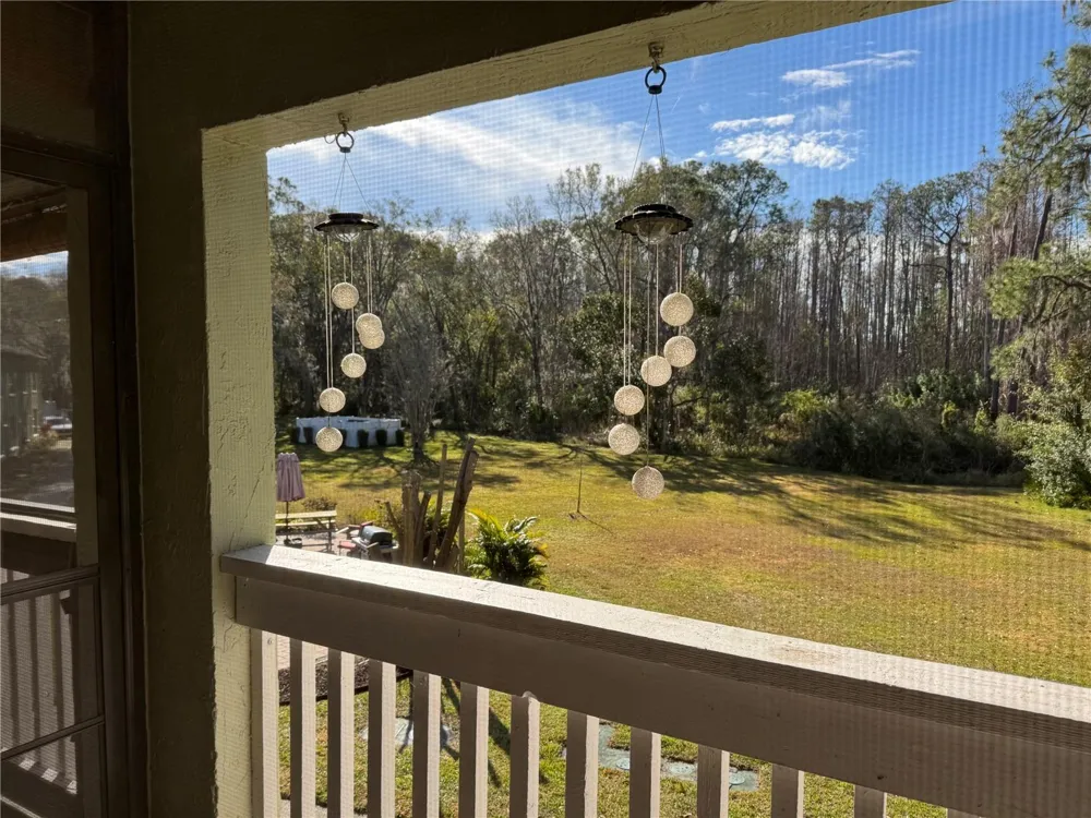 1775 CUPECOY CIRCLE #4 Lutz, FL 33558