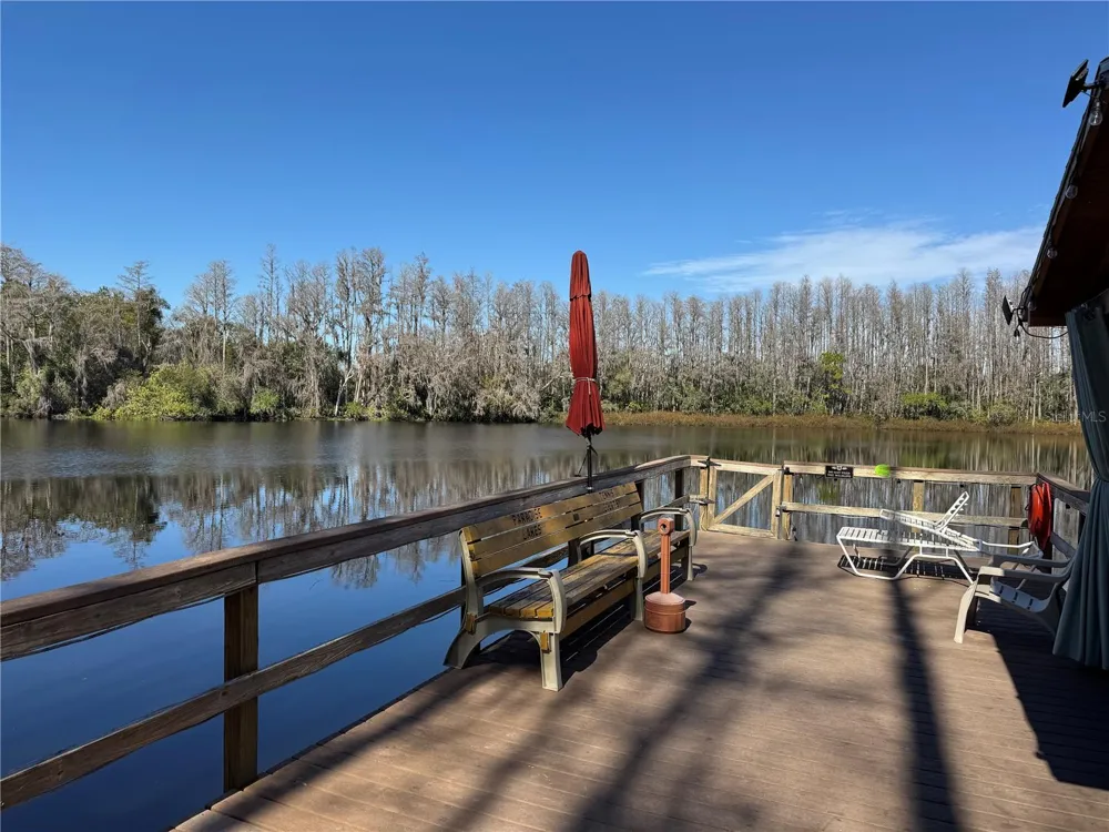 1775 CUPECOY CIRCLE #4 Lutz, FL 33558