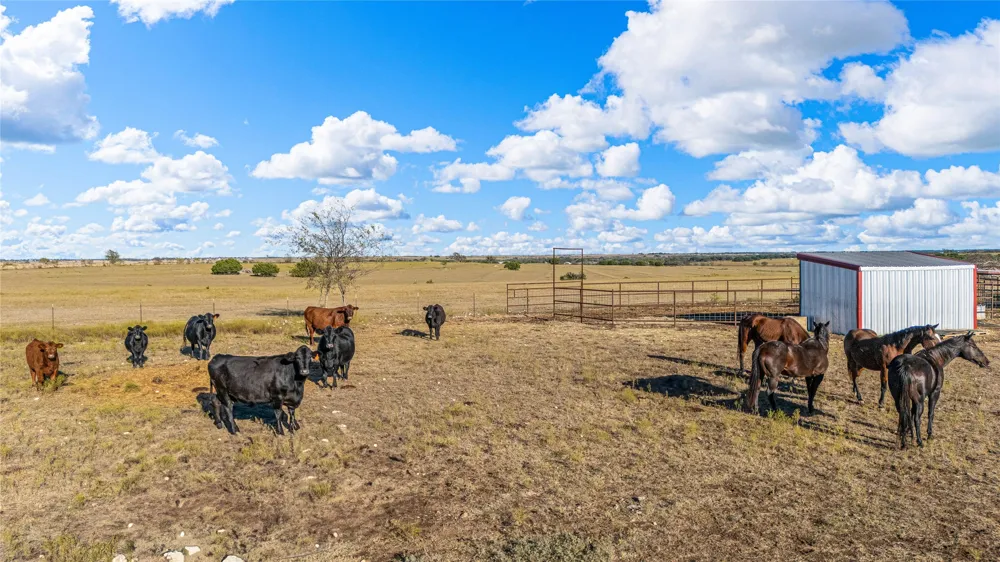 318 CR 3355 Valley Mills, TX 76689