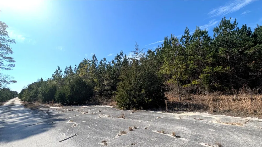 13550 NW OLD FANNIN ROAD Chiefland, FL 32626