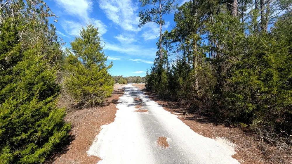 13550 NW OLD FANNIN ROAD Chiefland, FL 32626