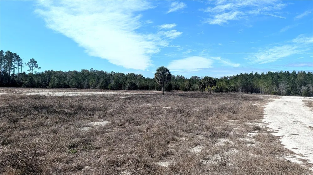 13550 NW OLD FANNIN ROAD Chiefland, FL 32626