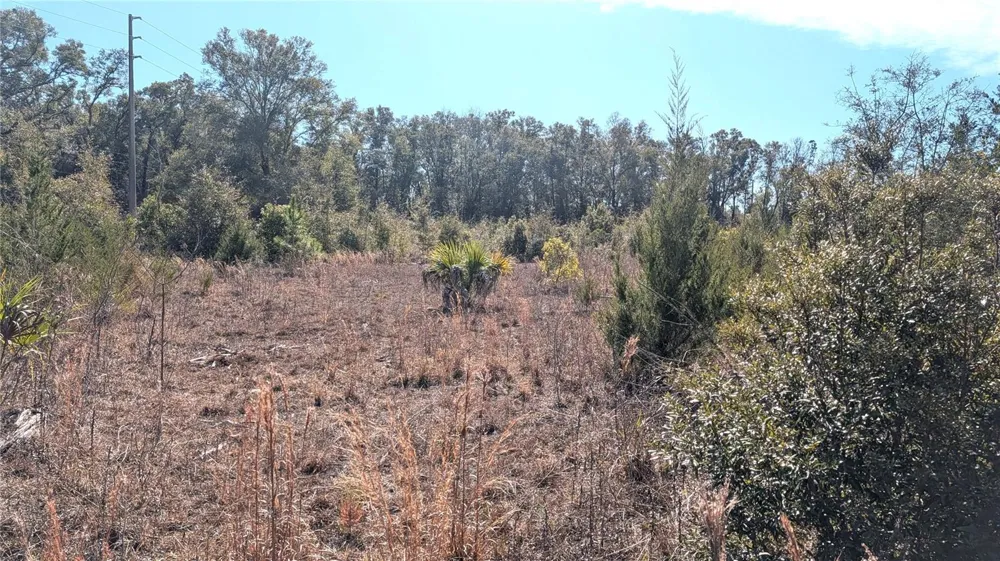 13550 NW OLD FANNIN ROAD Chiefland, FL 32626