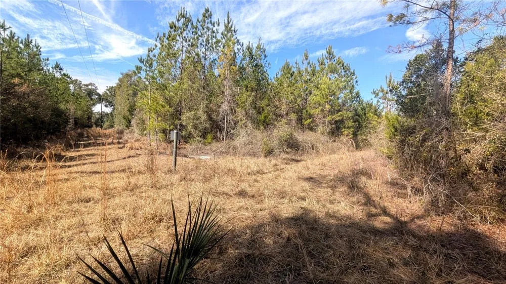 13550 NW OLD FANNIN ROAD Chiefland, FL 32626