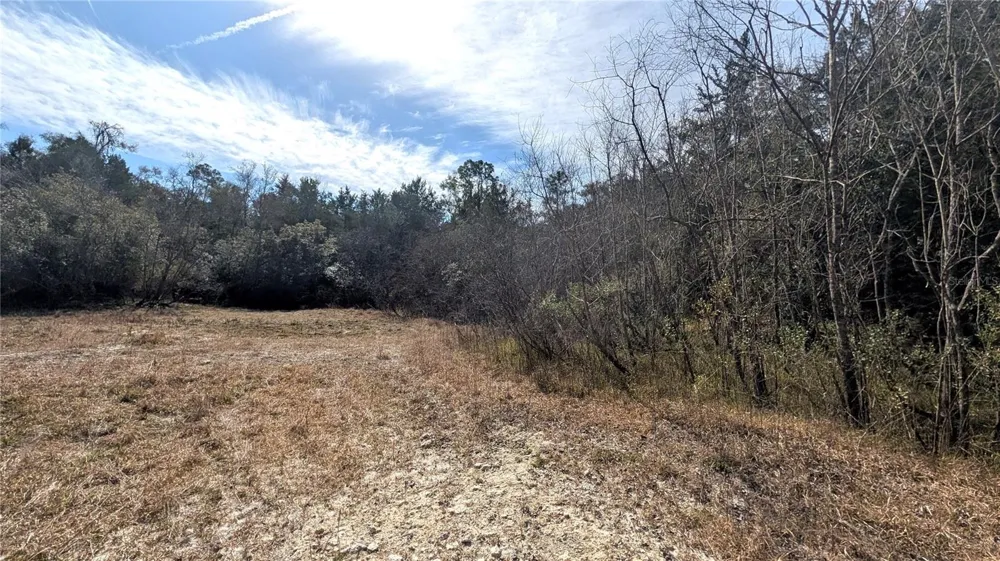 13550 NW OLD FANNIN ROAD Chiefland, FL 32626