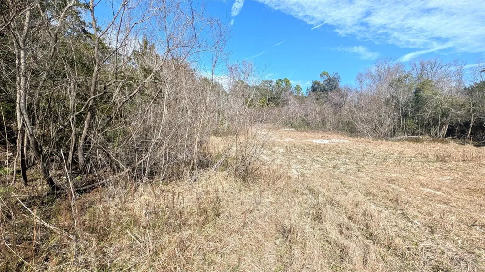 13550 NW OLD FANNIN ROAD Chiefland, FL 32626