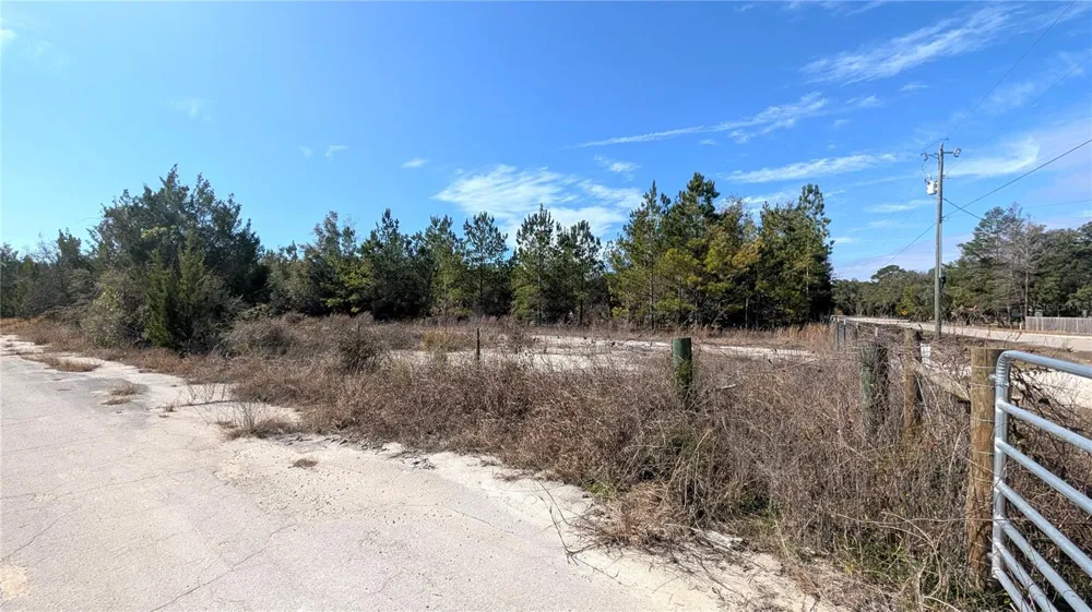 13550 NW OLD FANNIN ROAD Chiefland, FL 32626