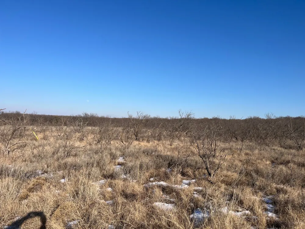 Burwick Road Jacksboro, TX 76458