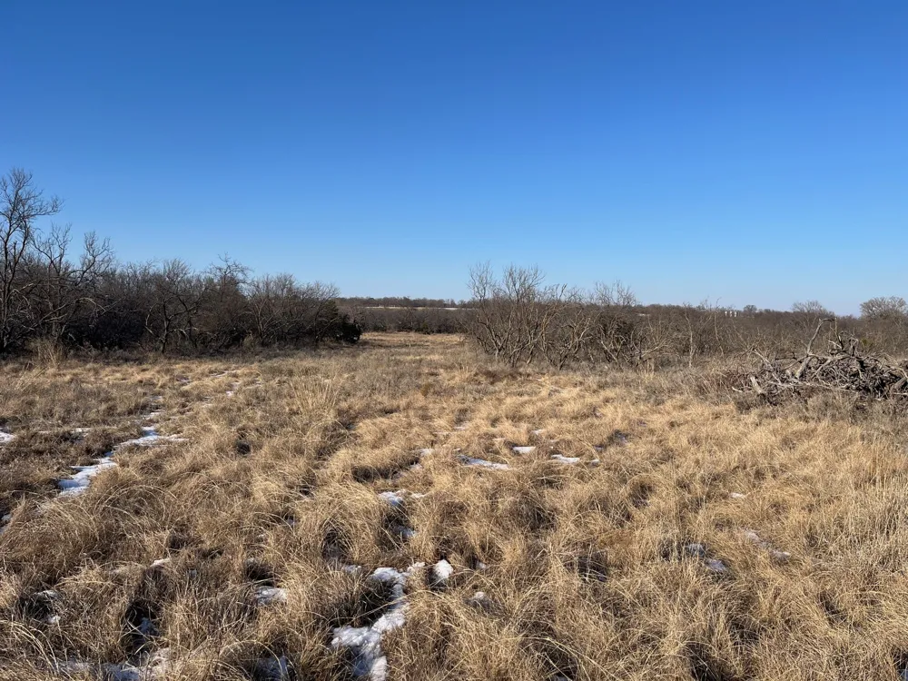 Burwick Road Jacksboro, TX 76458