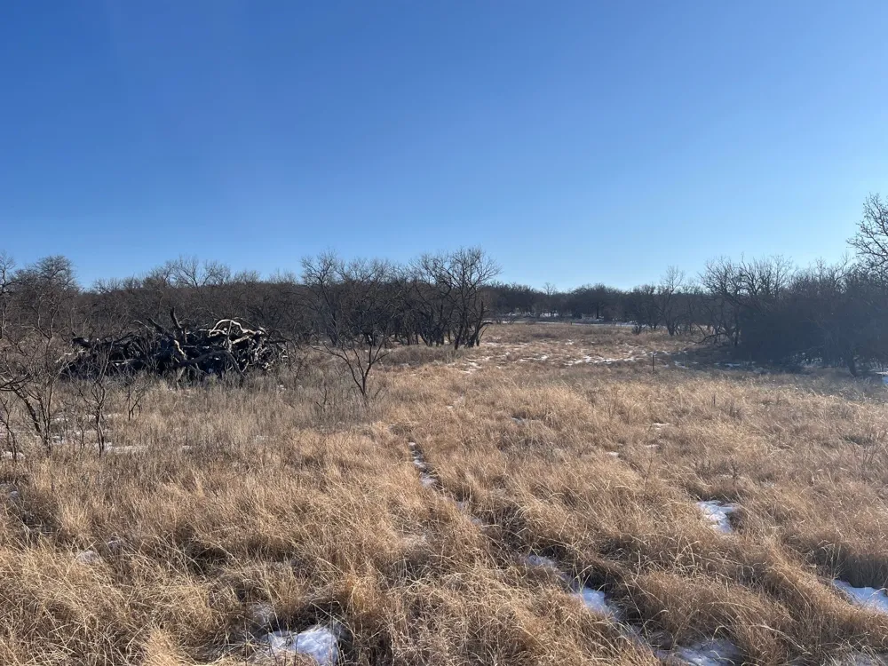 Burwick Road Jacksboro, TX 76458